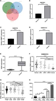 Methylation-mediated silencing of EDN3 promotes cervical cancer proliferation, migration and invasion